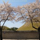 동백나무집 이미지