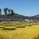 지연에너지태양광발전소 이미지