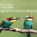 갈멜목장 이미지