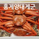 세종시 홍게 대게 홍게양대게군 커플세트 포장 후기