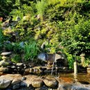 국골펜션 이미지