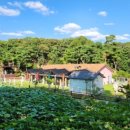 숲을 그리다 이미지