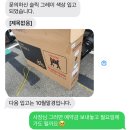 끌림이노베이션 | 전기자전거 | 이지베이션 bs슬릭 AL 자토바이 팻바이크 구매 후기