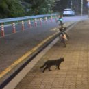 어정로4 이미지