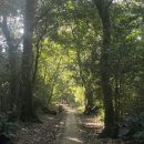 표산공원 이미지