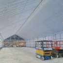 당진씨름장 이미지