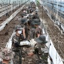 지상농장 이미지