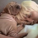 가호메디칼 이미지