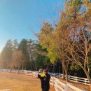 거림목장 이미지