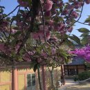 형제식육점 - 제천시 풍양로 108 | 형제식육점