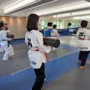 제일태권도장 | 성인 태권도 태권도장무토 서래관에서 퇴근 후 루틴 생긴 후기