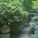 평창 오대산 중대 석가여래도 | [블야100] 1일2산 오대산비로봉 최단(상원사)코스