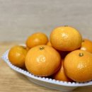 수진이네