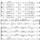 [성가악보] 입례송 - Soli Deo Gloria / 솔리 데오 글로리아 [손경민] 이미지