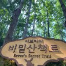 디비스토어 | 서울숲 포켓몬 시크릿 포레스트 팝업 현장 대기 후기