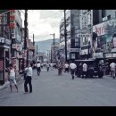 꽃다방 - 132677 | 꽃다방