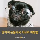 영주동물병원 이미지