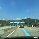 [벌교애견동반] 코클맨션, 마더코클, 한옥민박