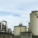 더블루1공인중개사사무소 이미지