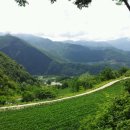 김삿갓면-11 이미지