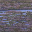 (주)예제나 이미지