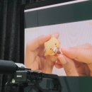 코힛코컴퍼니 이미지