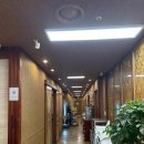 훈장골 | 일산_식사동 돼지갈비맛집 훈장골 구워주는 고기집 내돈내산 솔직후기