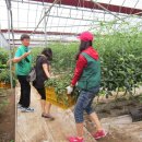 서면농장 이미지