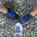 혜진목장 이미지