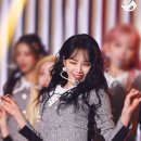 개이쁨 이미지