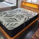 탑플러스소프트 이미지