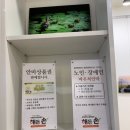 해든손 지압원 이미지