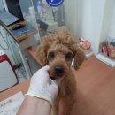 금옥중학교 이미지