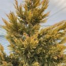 생명농장 이미지