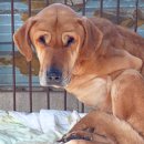 누렁이농장 이미지