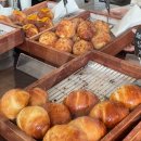 주정차단속-117 | 천안 소금도화 불당동 소금빵 맛집 빵나오는시간 가격 평일 후기