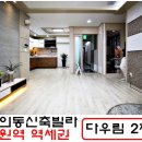 다우림 2차 이미지