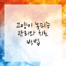 사랑이있는동물병원 이미지