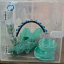 (주)허스크 | #대구파충류샵 뉴런쥬라기 파충류 입문 1위 크레스티드 게코 사육방법/적정 온습도와 필수 용품 리스트...