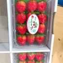 바람개비 딸기학교 이미지