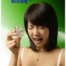 주객 - 서구 | 주객