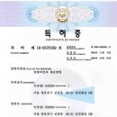 성심의안 이미지