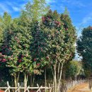 장무공원 화장실 이미지