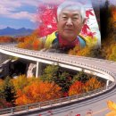 닭방 Daum카페