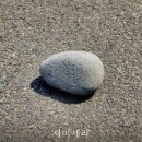 형제전기.열쇠 | 현재는 과거를 푸는 열쇠 – 르두, 허턴, 라이엘, 다윈
