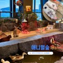 애니멀케어 | 광안리 실내동물원 동물카페 애니멀숲 솔직 방문후기