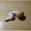 고집센그집갈비탕(현풍점)