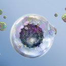 강남한방병원 이미지