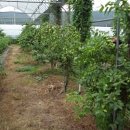 웅희농장 이미지