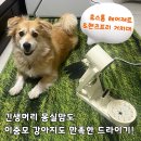 생활 속 스마트폰 활용하기 | BLDC 드라이기 : 휴스톰 헤어제트! 핸즈프리 거치대로 다양하게 활용하기